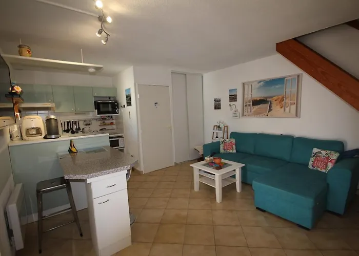 Belle Climatisee, 4 Couchages A 400 M De La 2 Terrasse D Angle Parking Dans Securisee Avec Piscine Commune Lrond39 Villa